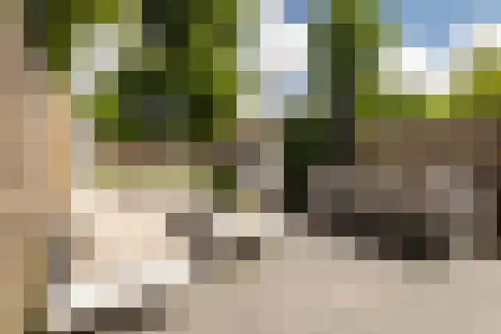 Van 't Hoffstraat 212 Haarlem thumbnail 28