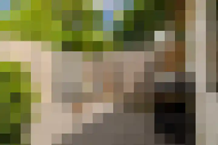 Van 't Hoffstraat 212 Haarlem thumbnail 29
