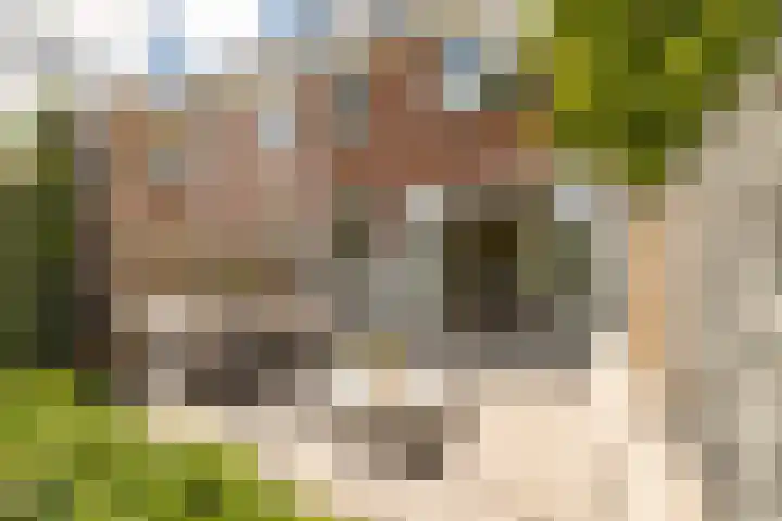 Van 't Hoffstraat 212 Haarlem thumbnail 31