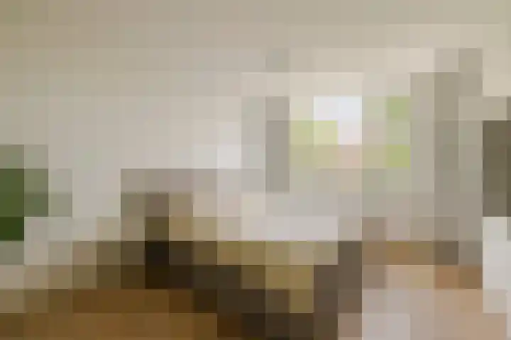 Van 't Hoffstraat 212 Haarlem thumbnail 34