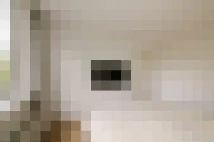 Van 't Hoffstraat 212 Haarlem thumbnail 35
