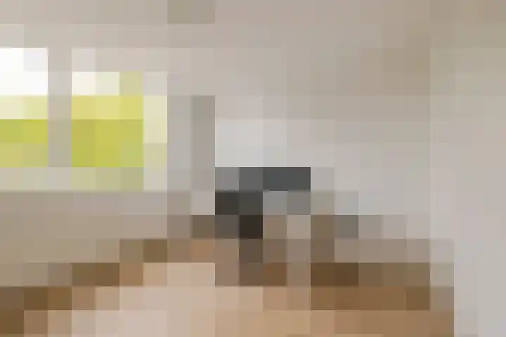 Van 't Hoffstraat 212 Haarlem thumbnail 36