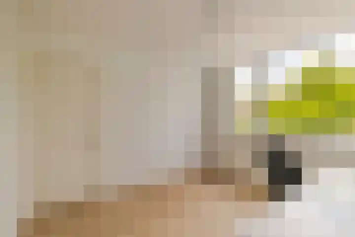 Van 't Hoffstraat 212 Haarlem thumbnail 37