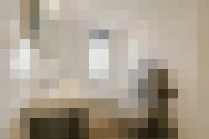 Van 't Hoffstraat 212 Haarlem thumbnail 40