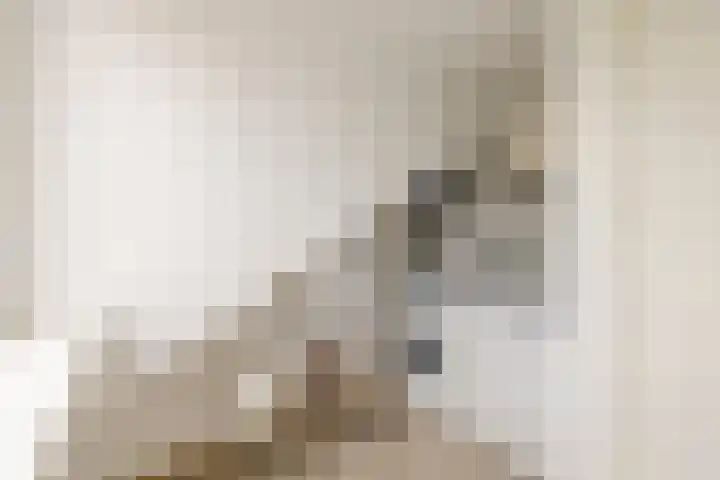 Van 't Hoffstraat 212 Haarlem thumbnail 47