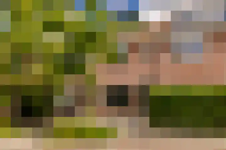 Van 't Hoffstraat 212 Haarlem thumbnail 6