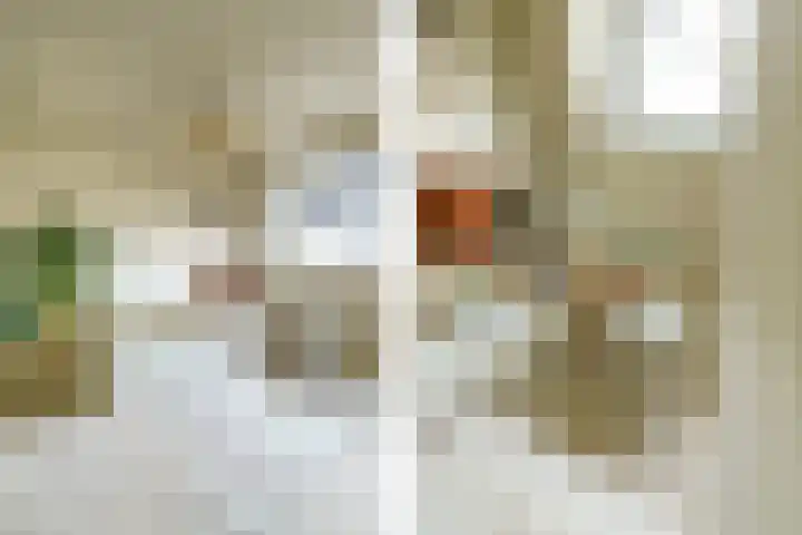 Van 't Hoffstraat 33 Haarlem thumbnail 31