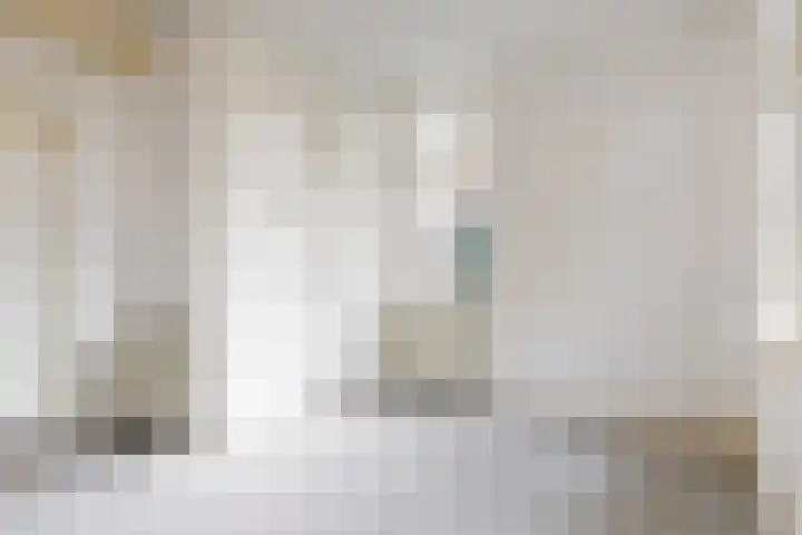 Van 't Hoffstraat 37 Leiden thumbnail 16