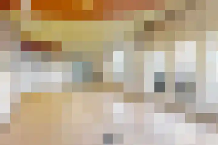 Van 't Hoffstraat 9 Leiden thumbnail 8