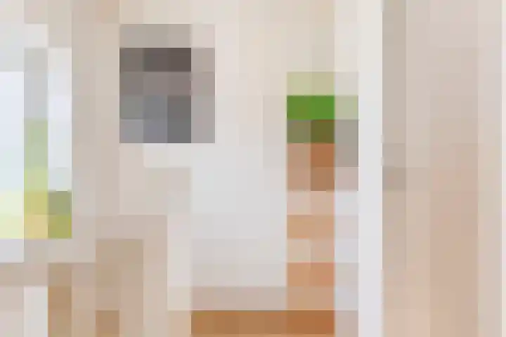 van Tilburghstraat 12 Driewegen thumbnail 21