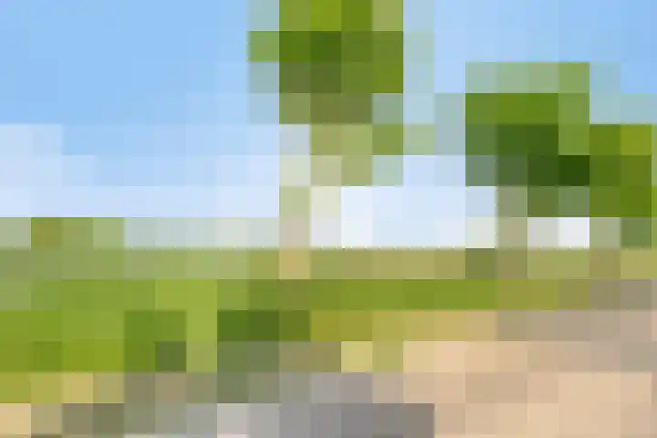 van Tilburghstraat 12 Driewegen thumbnail 32
