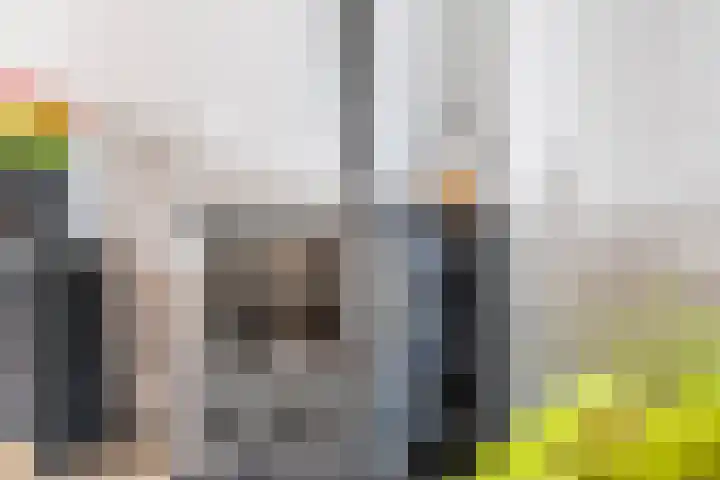van Tilburghstraat 12 Driewegen thumbnail 5