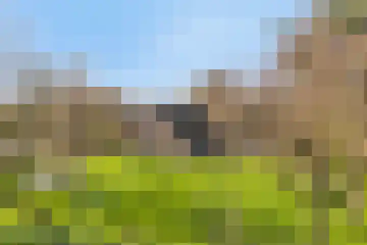 Team foto van Van Tuijl makelaardij