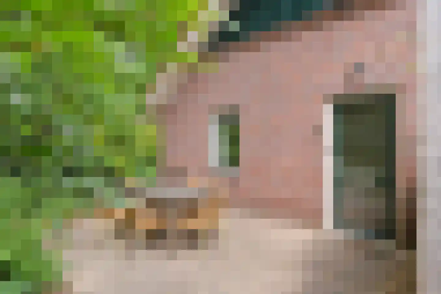 van Twickelolaan 98 in Coevorden