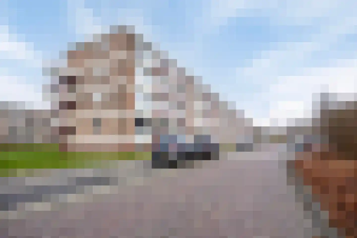van Viandenstraat 79 in Vlaardingen
