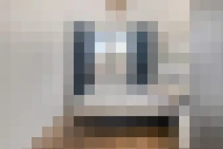 van Vorststraat 54 Eindhoven thumbnail 20
