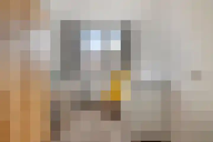 van Vorststraat 54 Eindhoven thumbnail 24