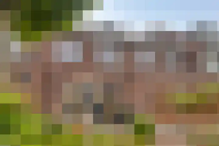 van Vorststraat 54 Eindhoven thumbnail 5