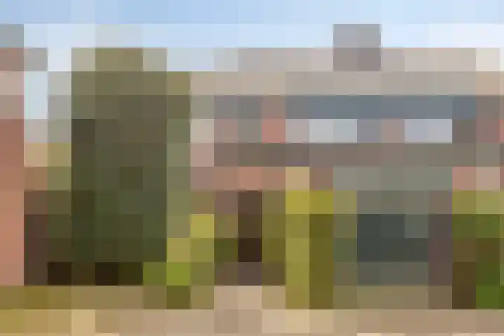 Van Vredenburchlaan 31 in Bergschenhoek