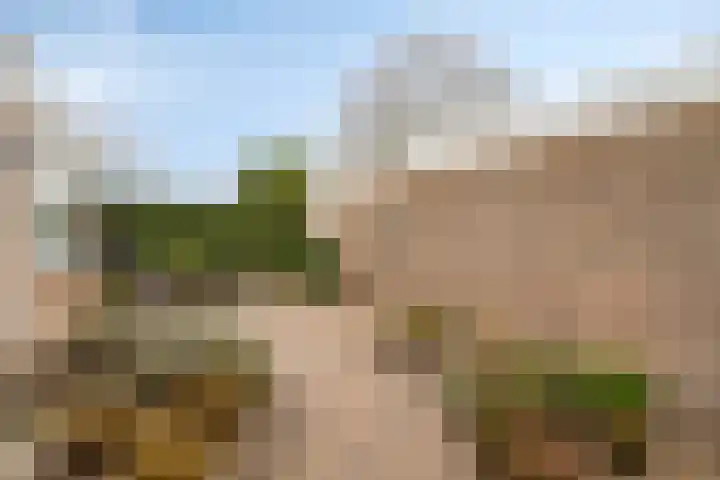 Van Vurenstraat 6 Made thumbnail 20
