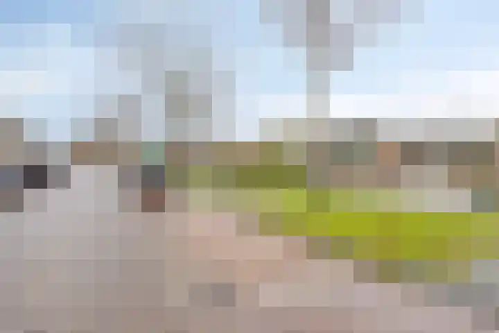 Van Vurenstraat 6 Made thumbnail 5