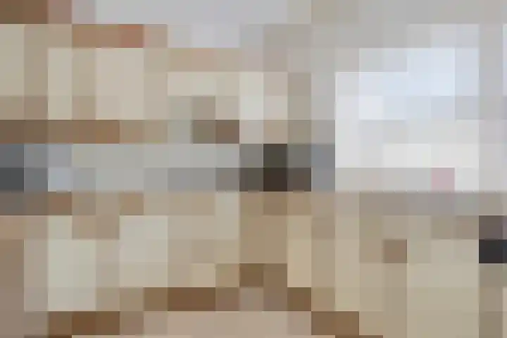 Van Vurenstraat 6 Made thumbnail 7