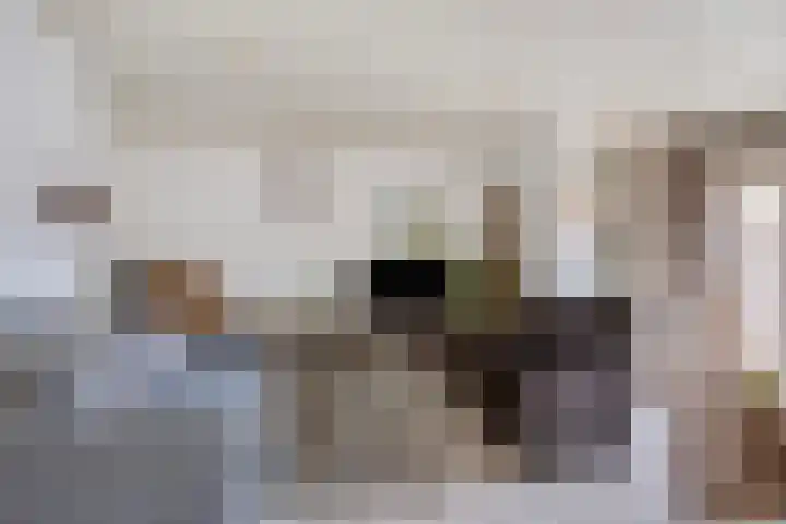 Van Vurenstraat 6 Made thumbnail 9
