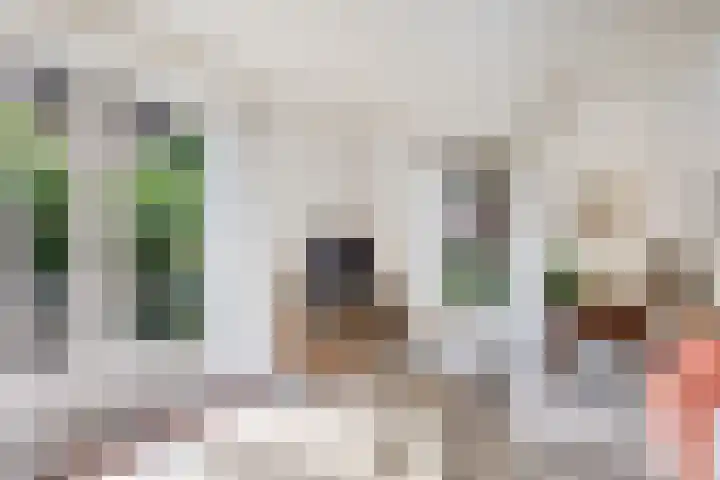 Van Waverenstraat 13 Hillegom thumbnail 14