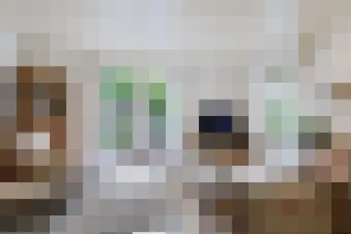 Van Waverenstraat 13 Hillegom thumbnail 15
