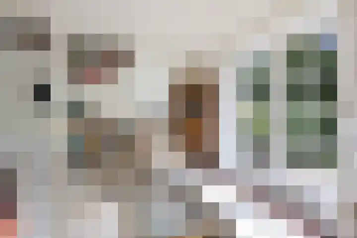 Van Waverenstraat 13 Hillegom thumbnail 16