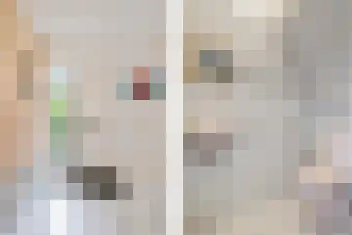 Van Waverenstraat 13 Hillegom thumbnail 22