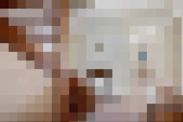 Van Waverenstraat 13 Hillegom thumbnail 23