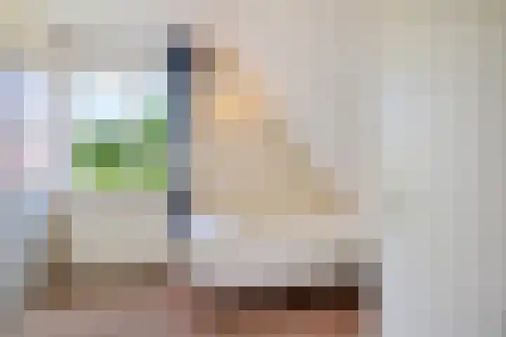 Van Waverenstraat 13 Hillegom thumbnail 31
