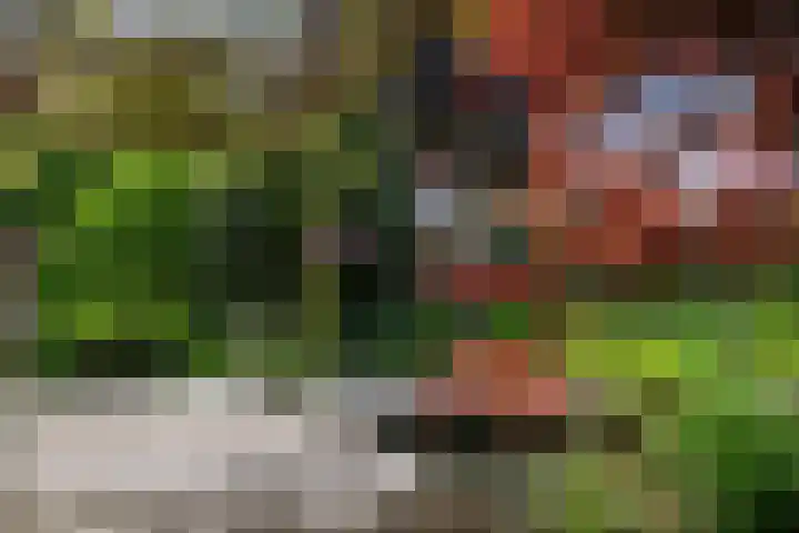 Van Waverenstraat 13 Hillegom thumbnail 4