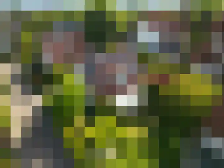 Van Waverenstraat 13 Hillegom thumbnail 41