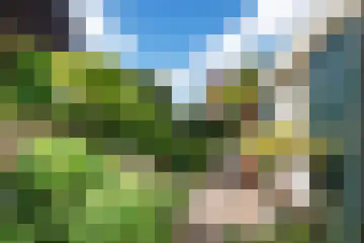 Van Waverenstraat 13 Hillegom thumbnail 43