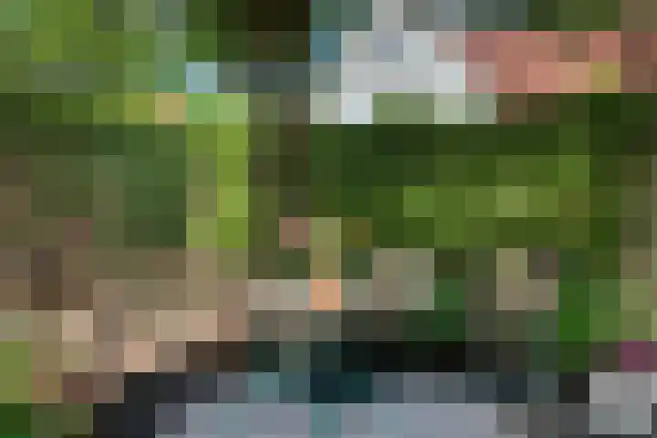 Van Waverenstraat 13 Hillegom thumbnail 44