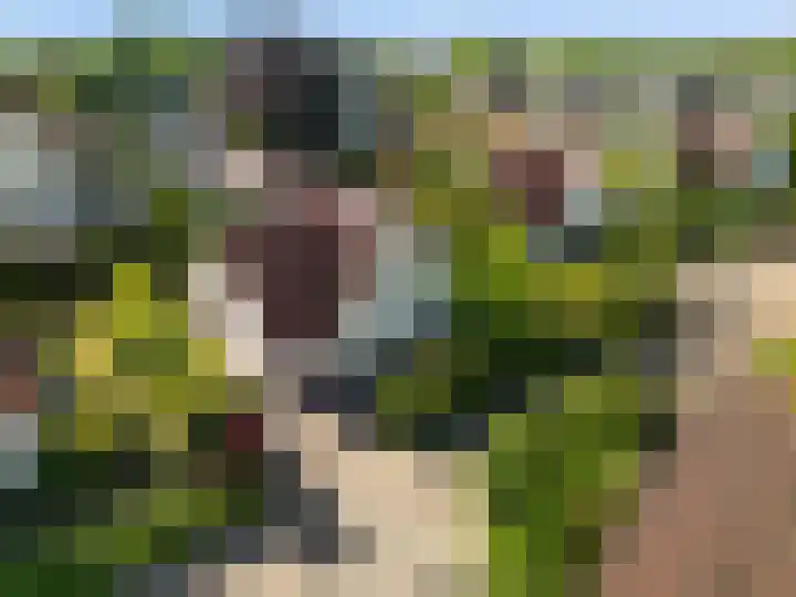 Van Waverenstraat 13 Hillegom thumbnail 49
