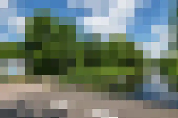Van Waverenstraat 13 Hillegom thumbnail 51