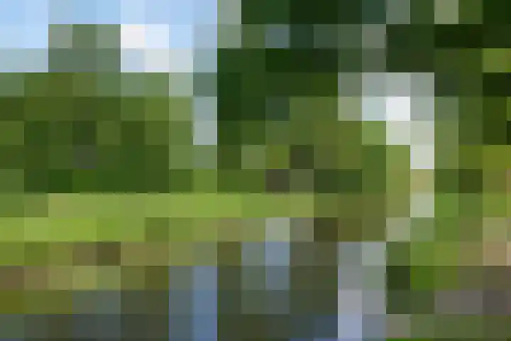 Van Waverenstraat 13 Hillegom thumbnail 53