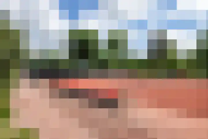 Van Waverenstraat 13 Hillegom thumbnail 56