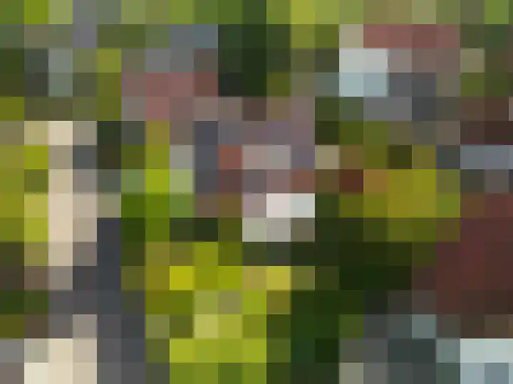 Van Waverenstraat 13 Hillegom thumbnail 62