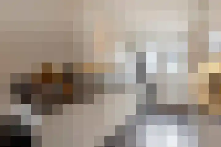van Wenastraat 7 Giessenburg thumbnail 14