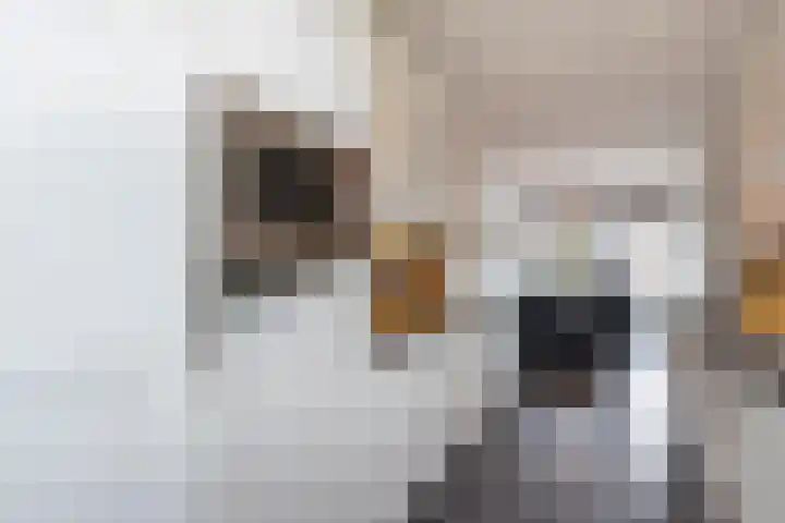 van Wenastraat 7 Giessenburg thumbnail 16