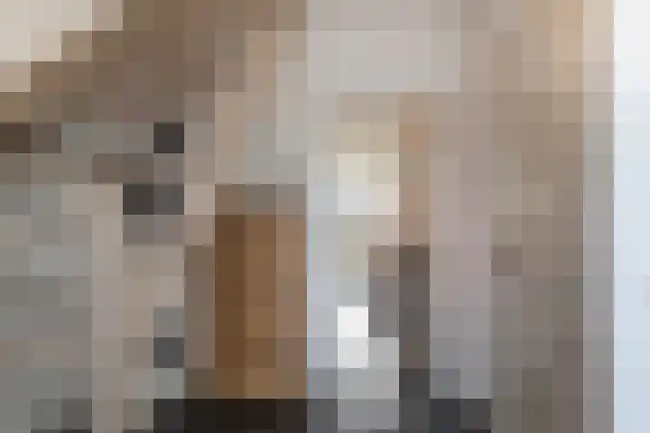 van Wenastraat 7 Giessenburg thumbnail 17