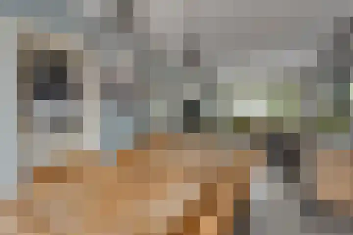 van Wisstraat 16 Helden thumbnail 11