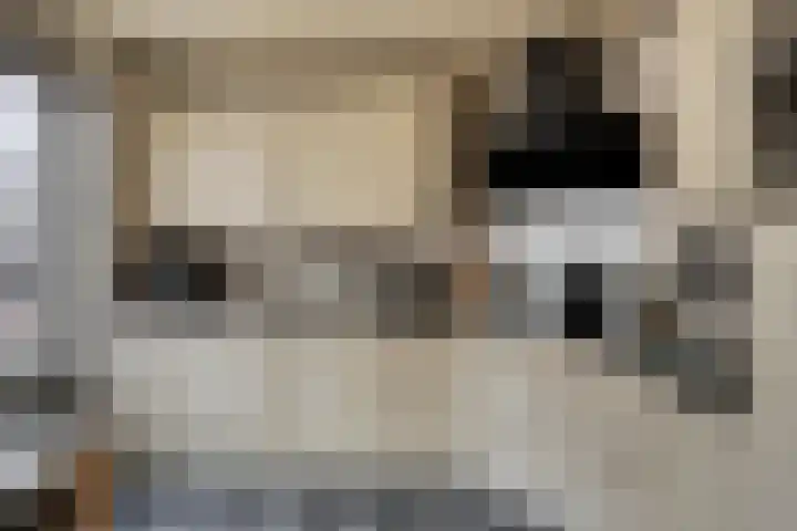 van Wisstraat 16 Helden thumbnail 12