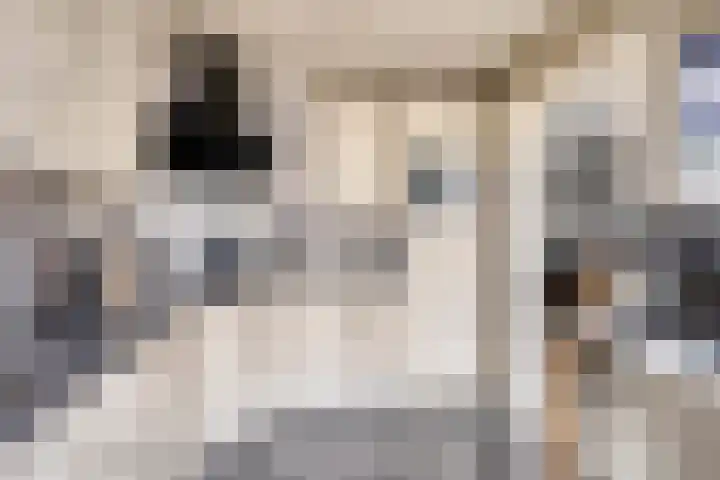 van Wisstraat 16 Helden thumbnail 13