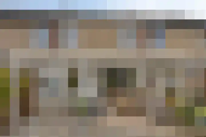 van Wisstraat 16 Helden thumbnail 30