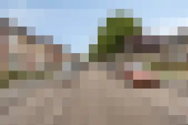 van Wisstraat 16 Helden thumbnail 31